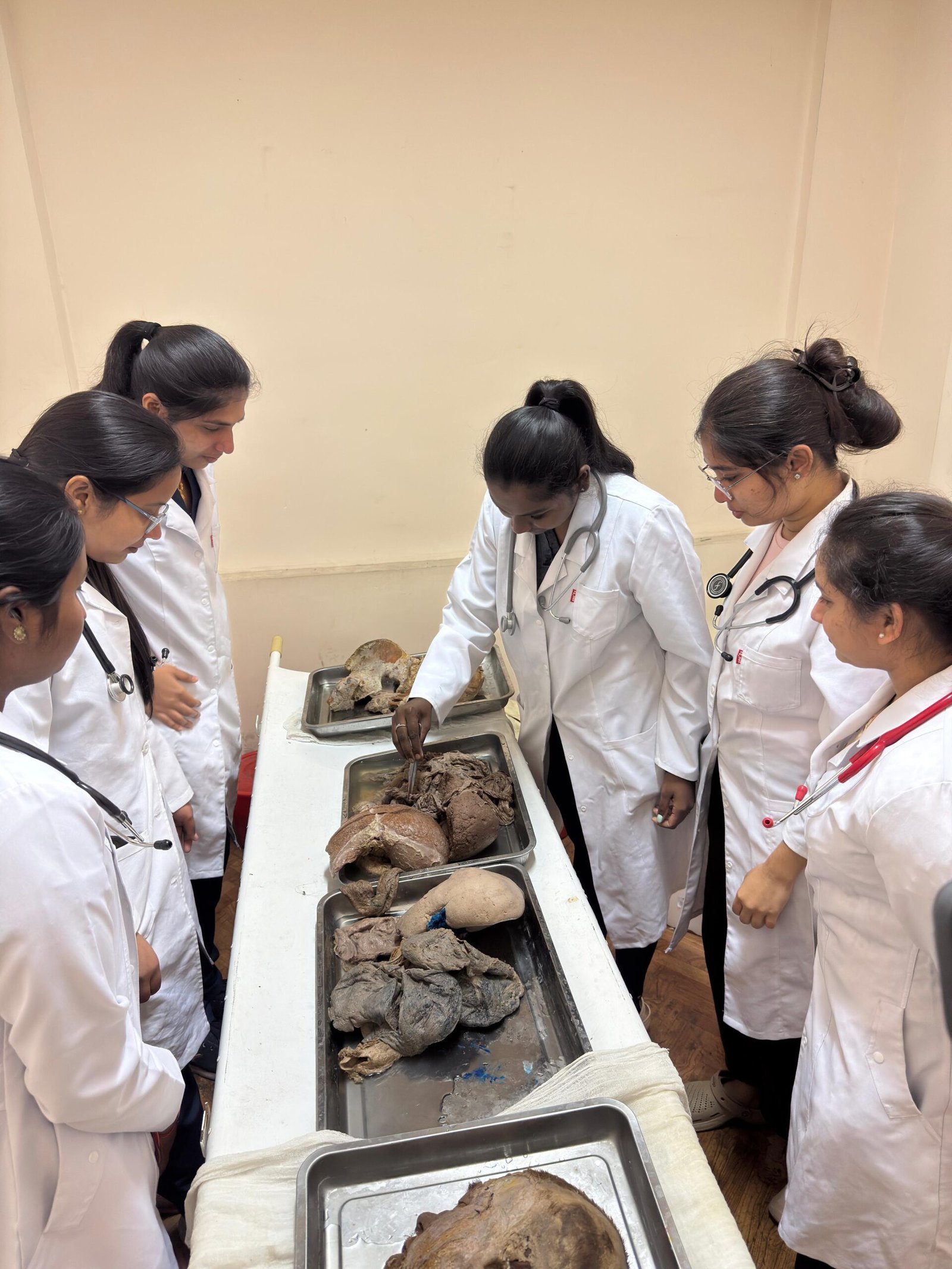 WhatsApp Image 2026-03-26 at 3.40.55 PM